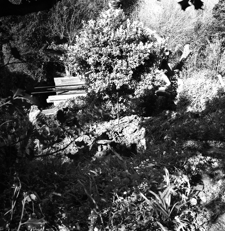 a. No 19 Rewa Street