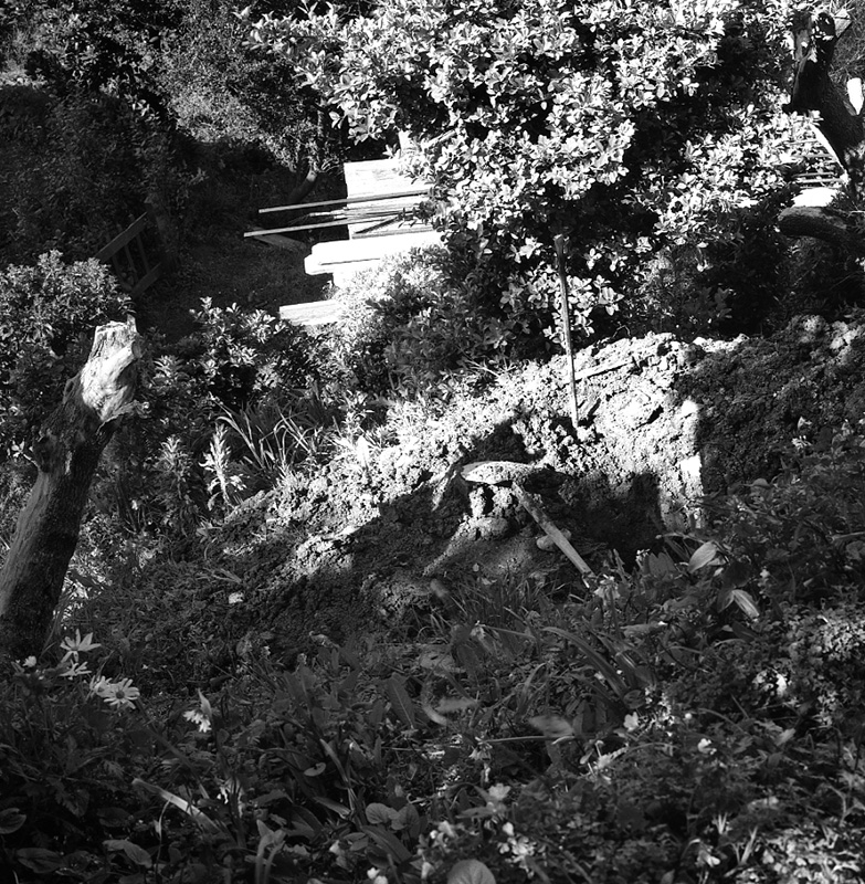 b. No 19 Rewa Street