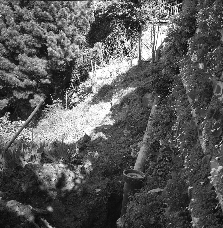 c. No 19 Rewa Street