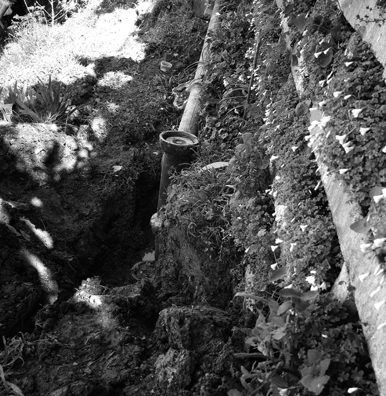 d. No 19 Rewa Street