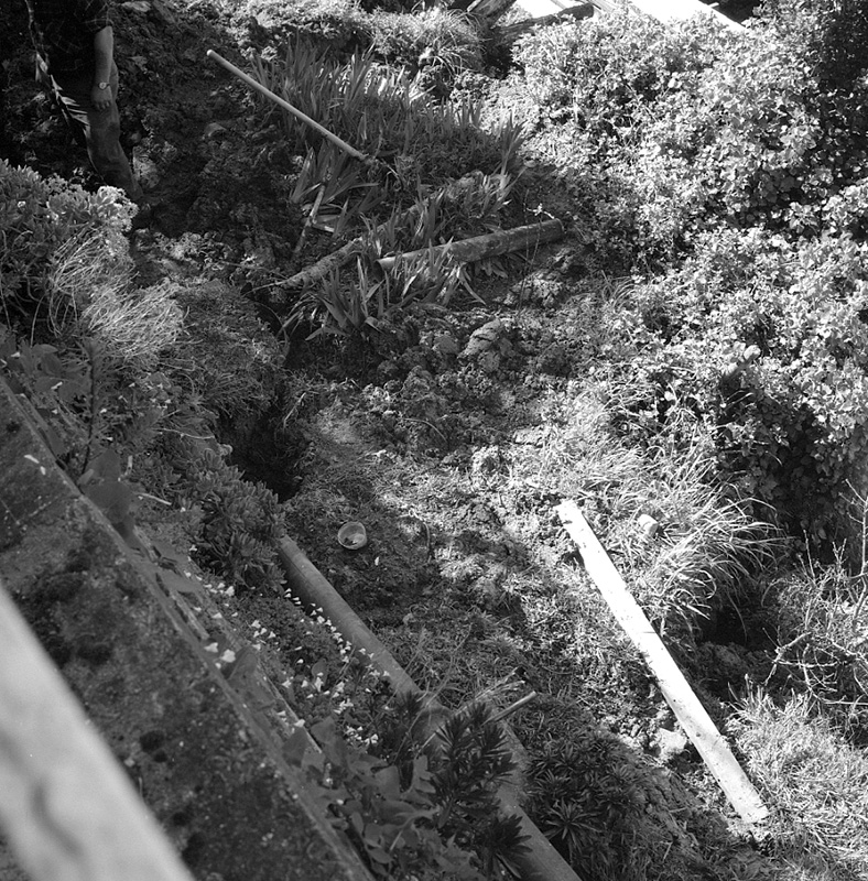 e. No 19 Rewa Street