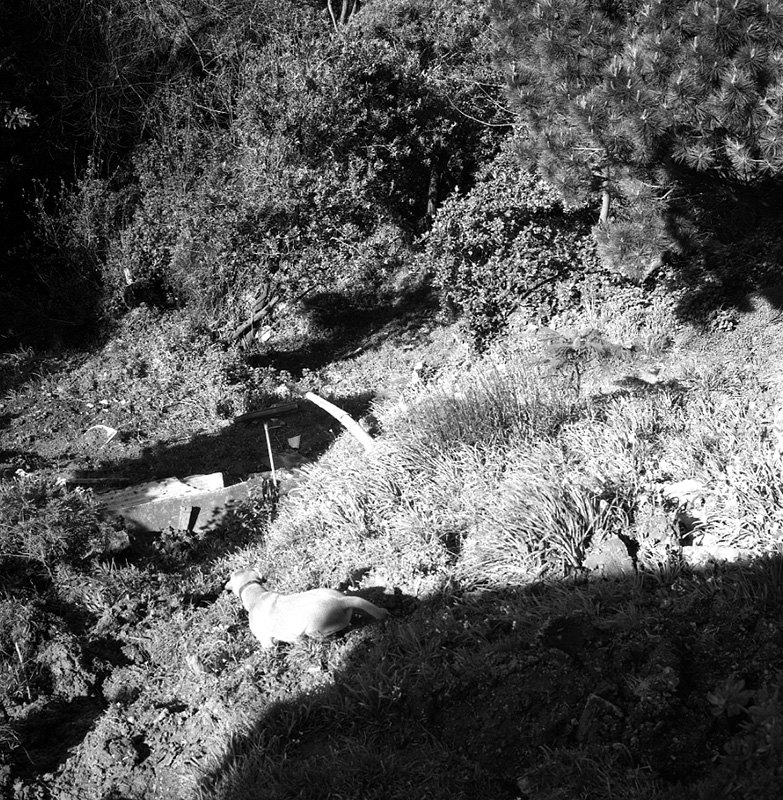 f. No 19 Rewa Street