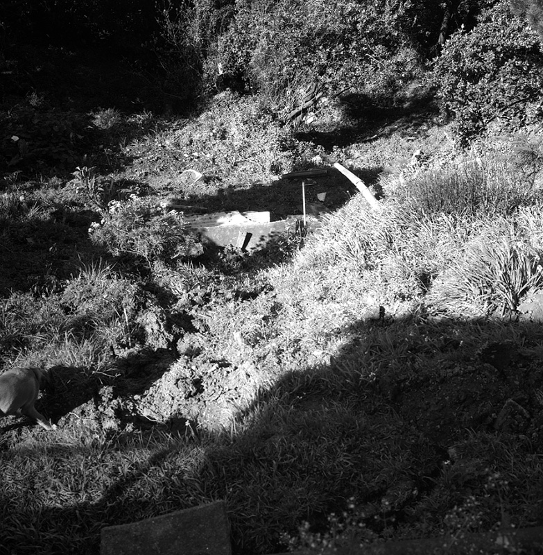 g. No 19 Rewa Street