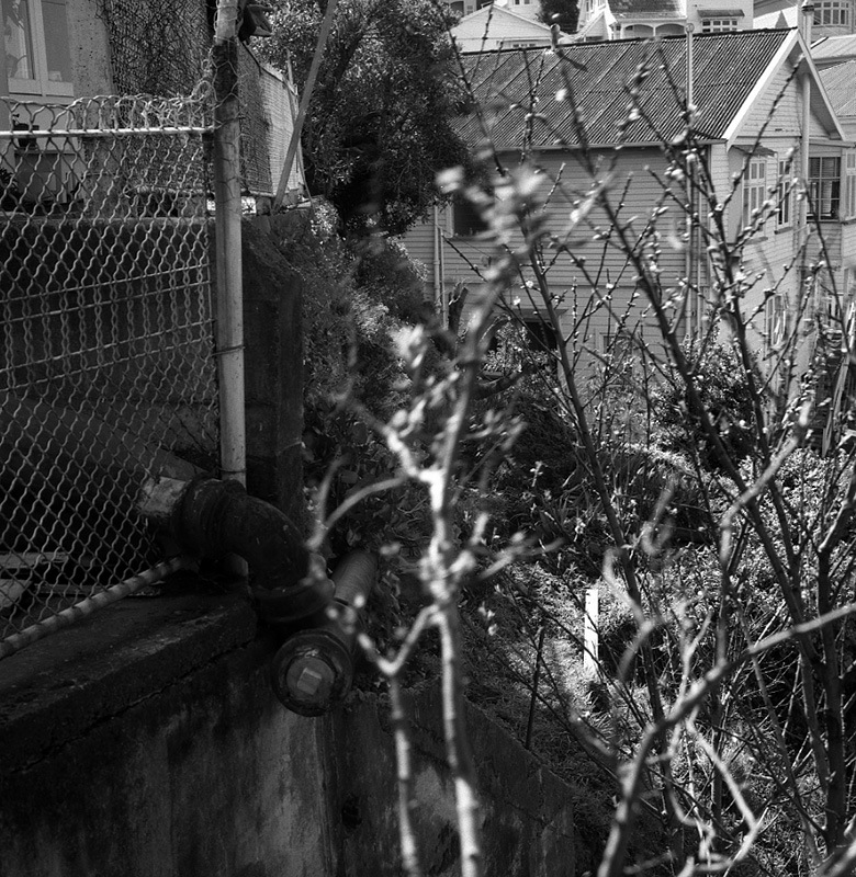 h. No 19 Rewa Street