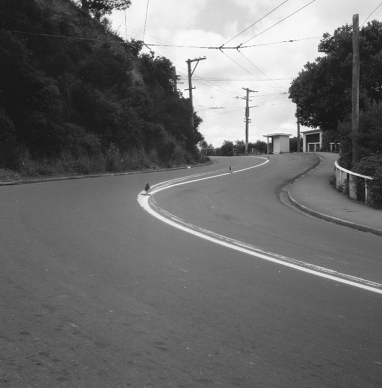 a. Paint damage, Wadestown Rd