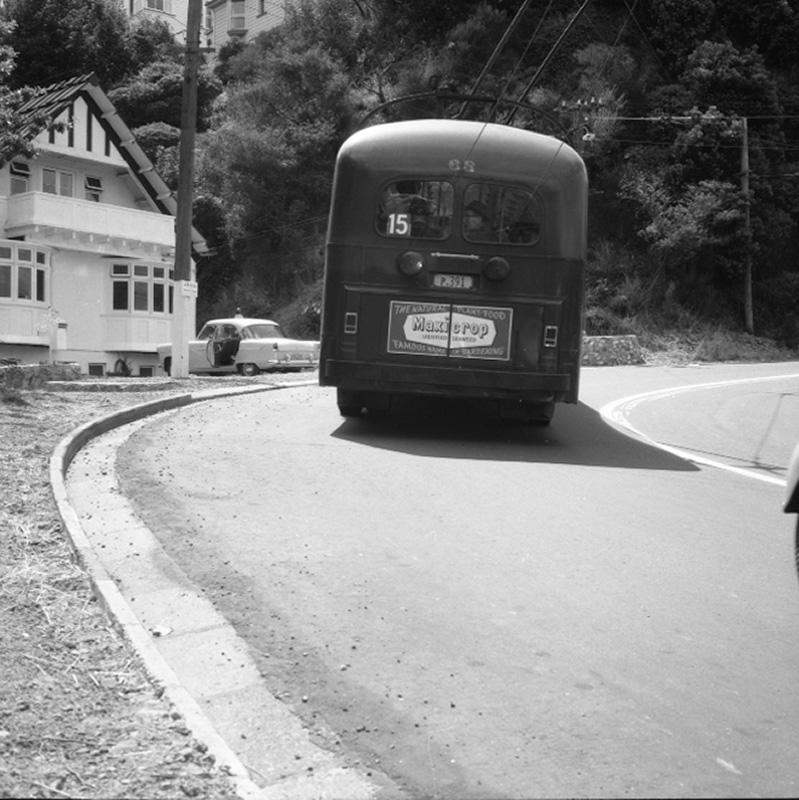 c. Paint damage, Wadestown Rd