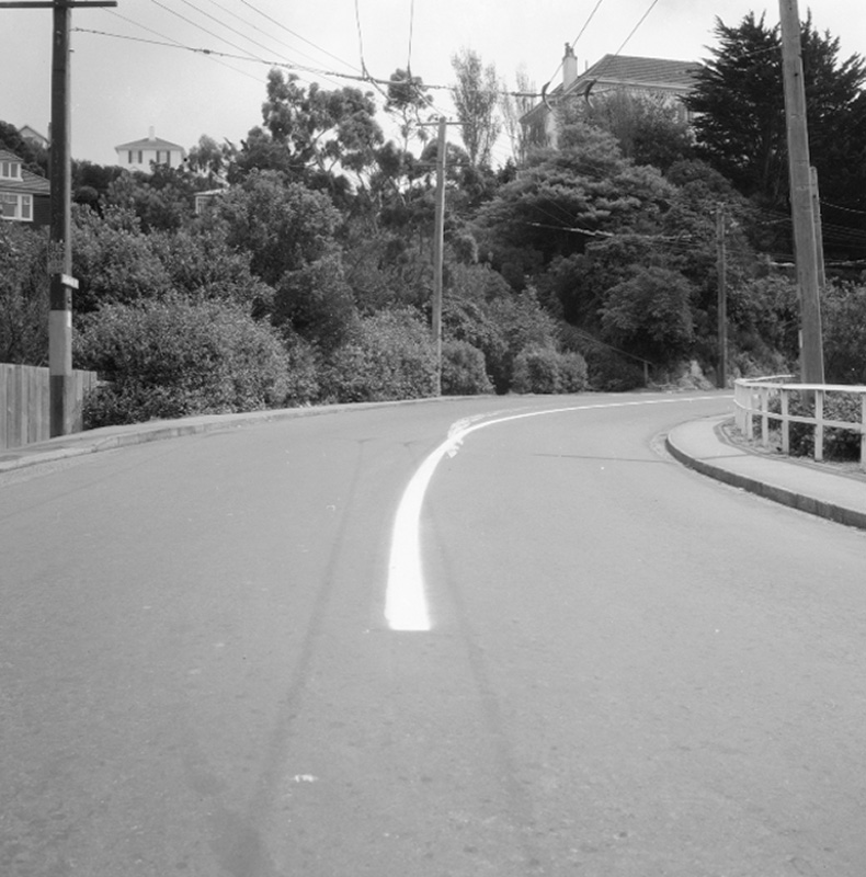 f. Paint damage, Wadestown Rd