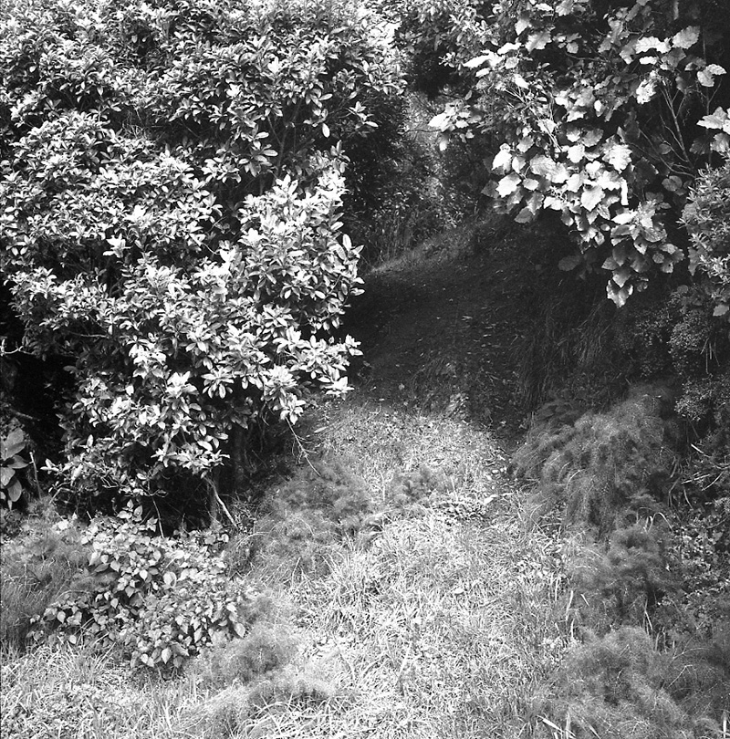 a. Burma Rd-Fraser Avenue