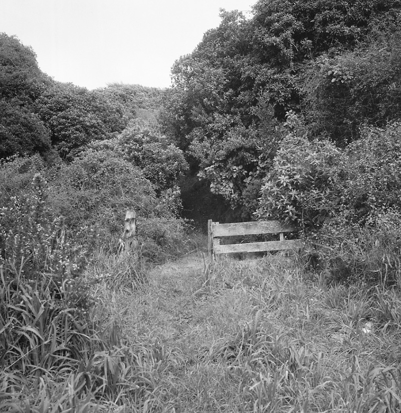 b. Burma Rd-Fraser Avenue