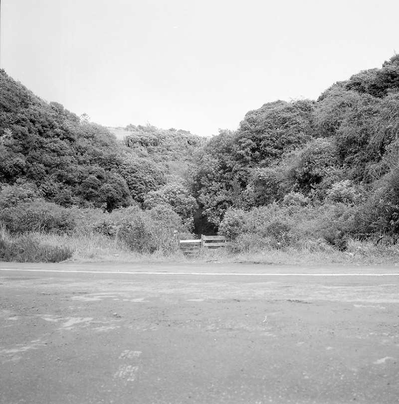 c. Burma Rd-Fraser Avenue