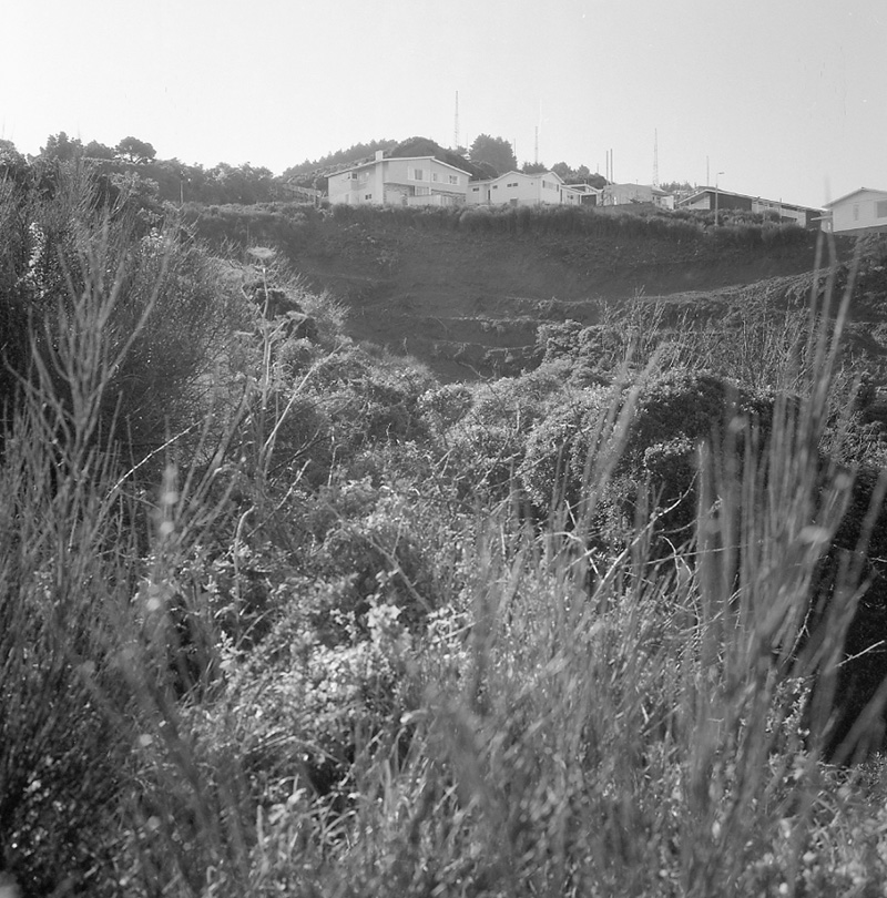 d. Panorama Orangi-Kaupapa Rd