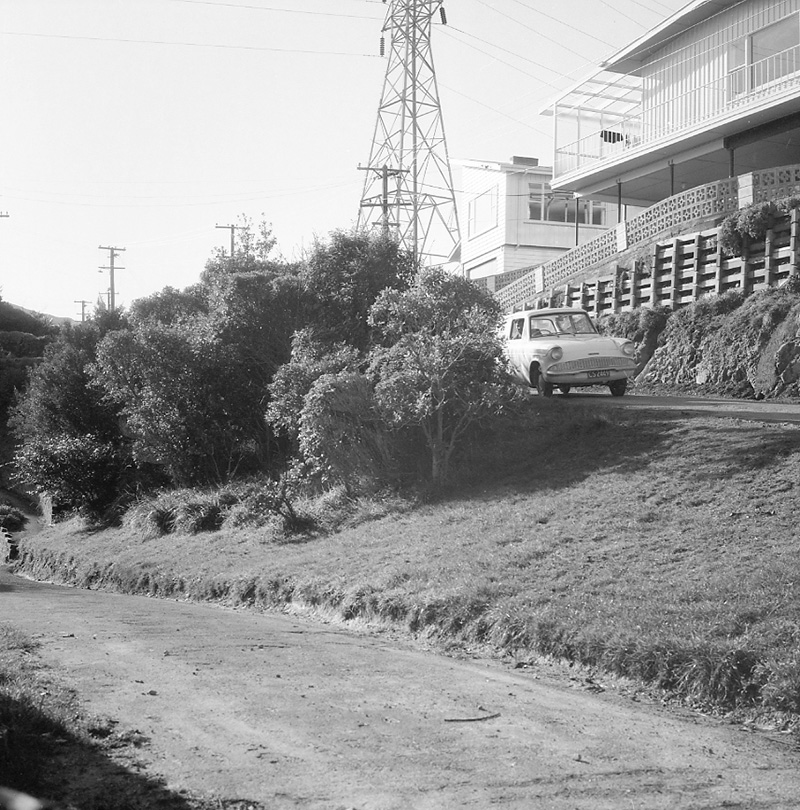 a. Streetscape, Amritsar Street, Khandallah