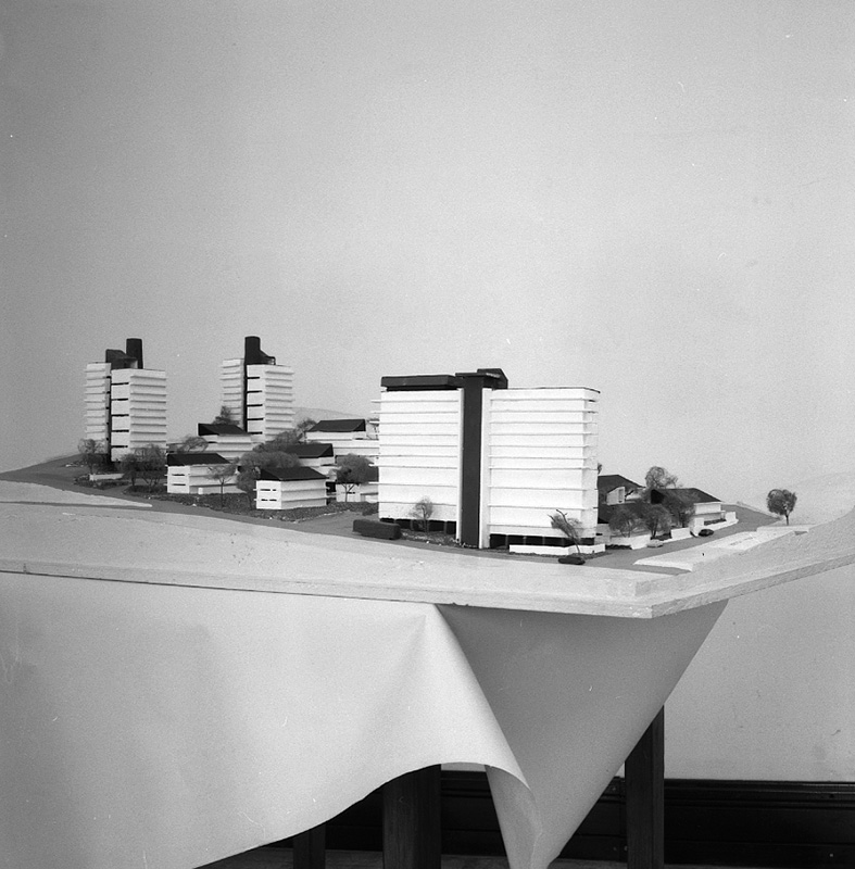 d. Model, Torrens Terrace