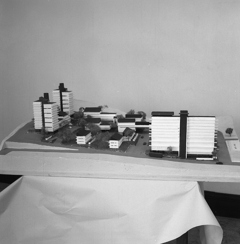 f. Model, Torrens Terrace