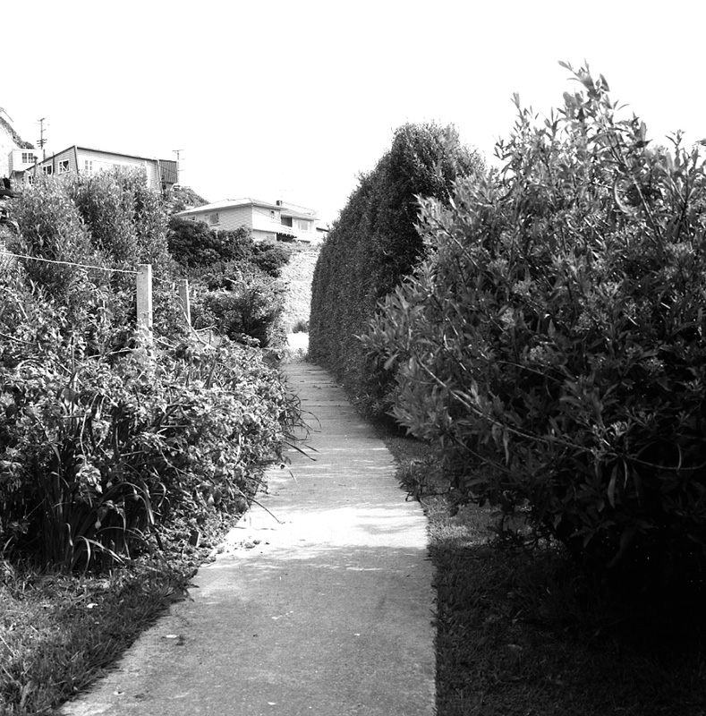 e. Nos 26-28-30 Rochester Street