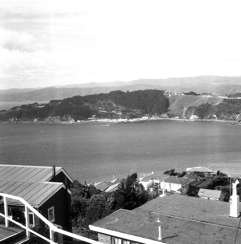 a. Observation bus tour