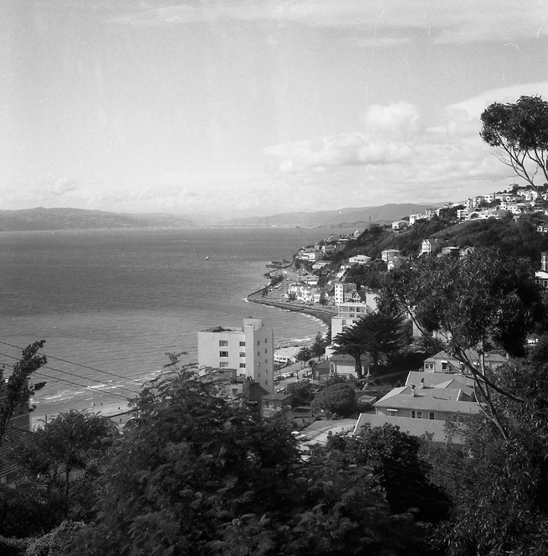 e. Observation bus tour