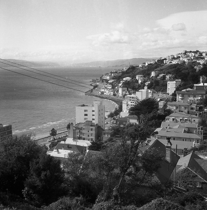 f. Observation bus tour