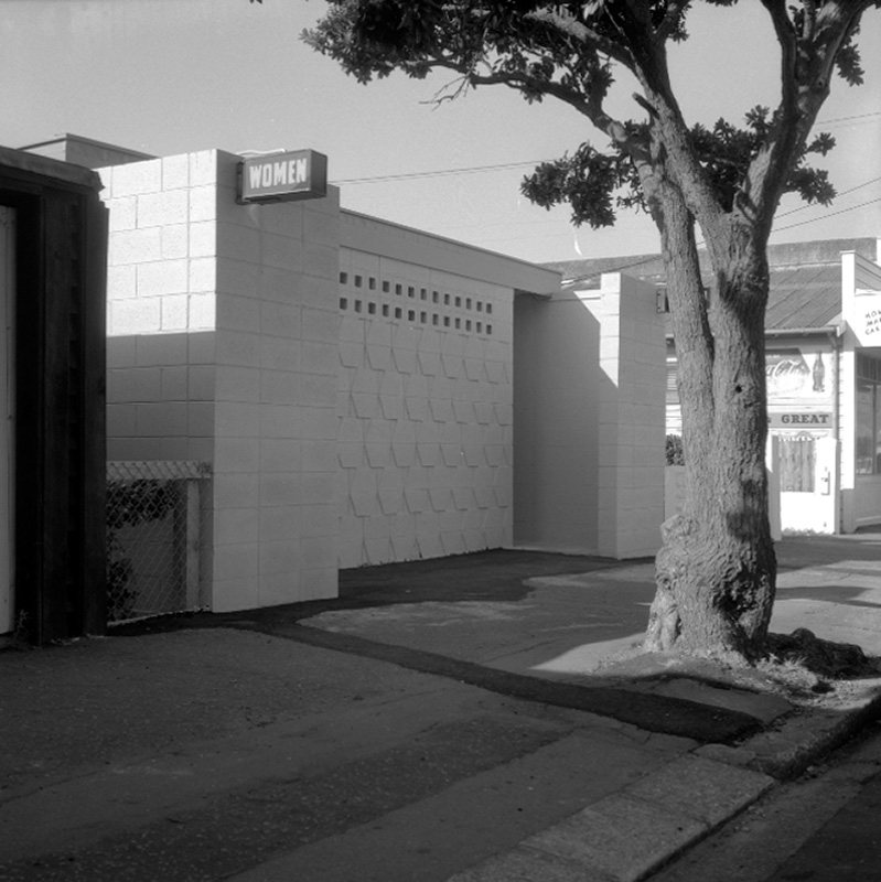 a. Conveniences, Seatoun &amp; Lyall Bay