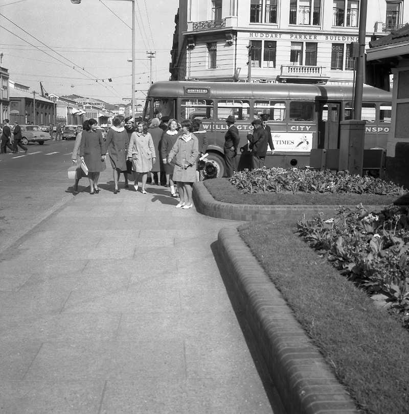 s. Observation bus tour