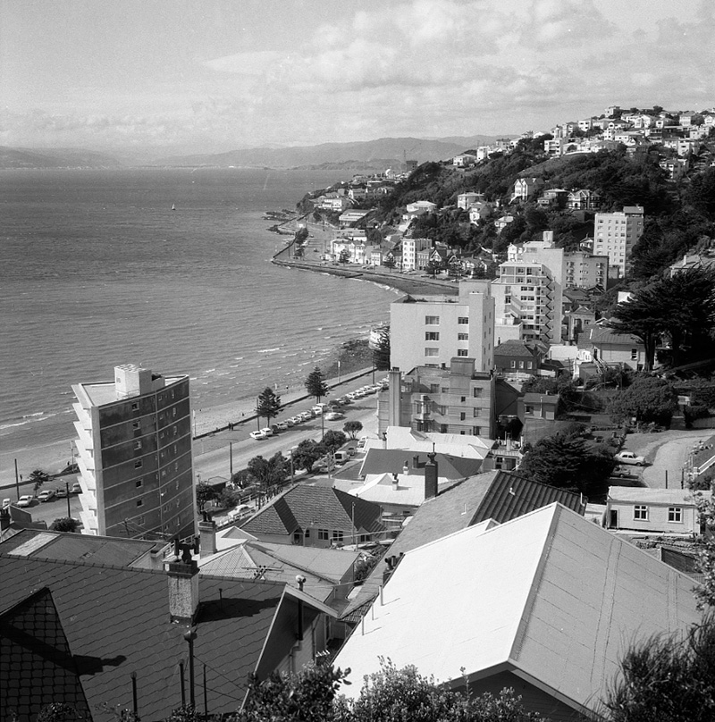 x. Observation bus tour