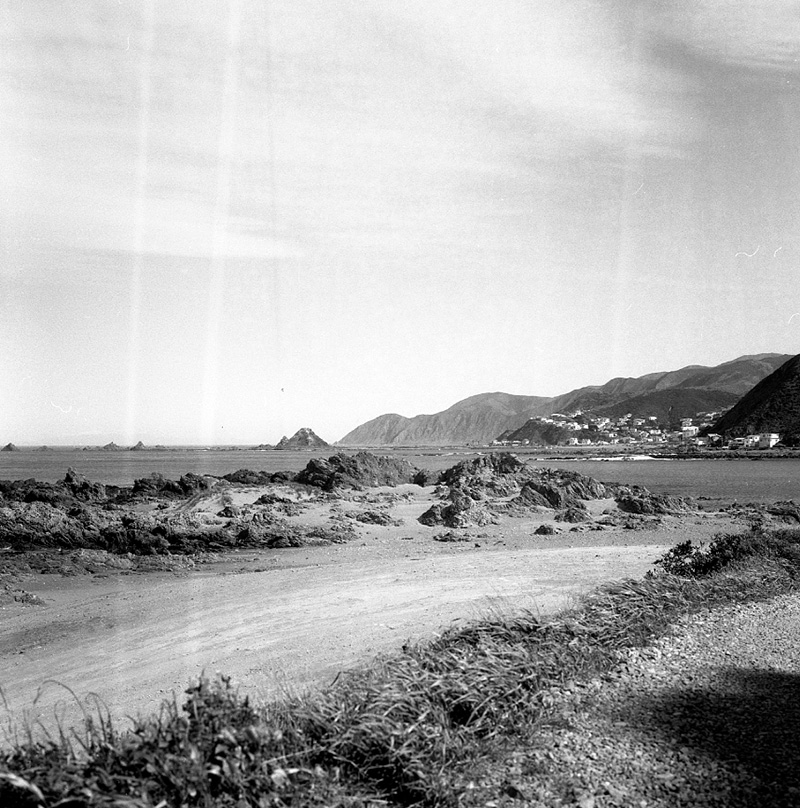 b. Views from sightseeing bus