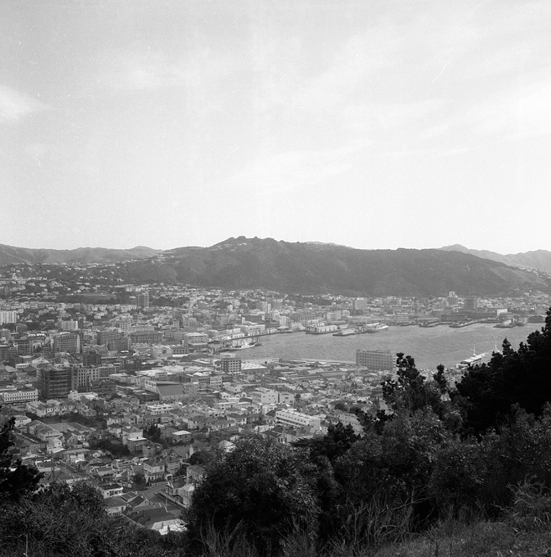 c. Views from sightseeing bus