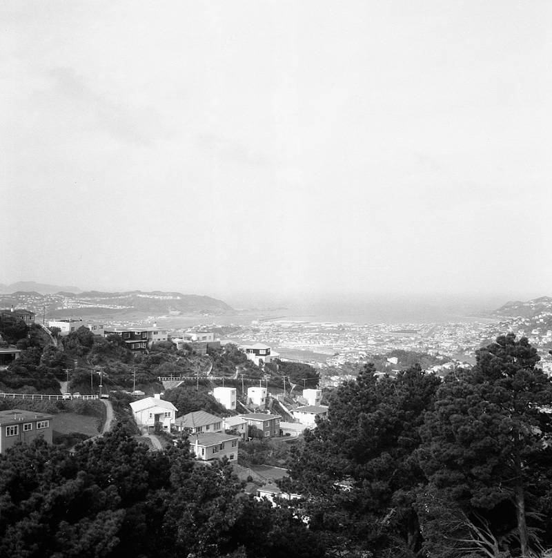 d. Views from sightseeing bus