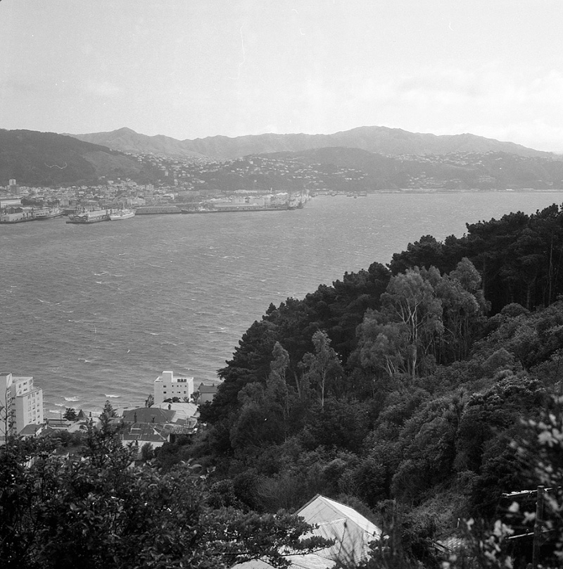 g. Views from sightseeing bus