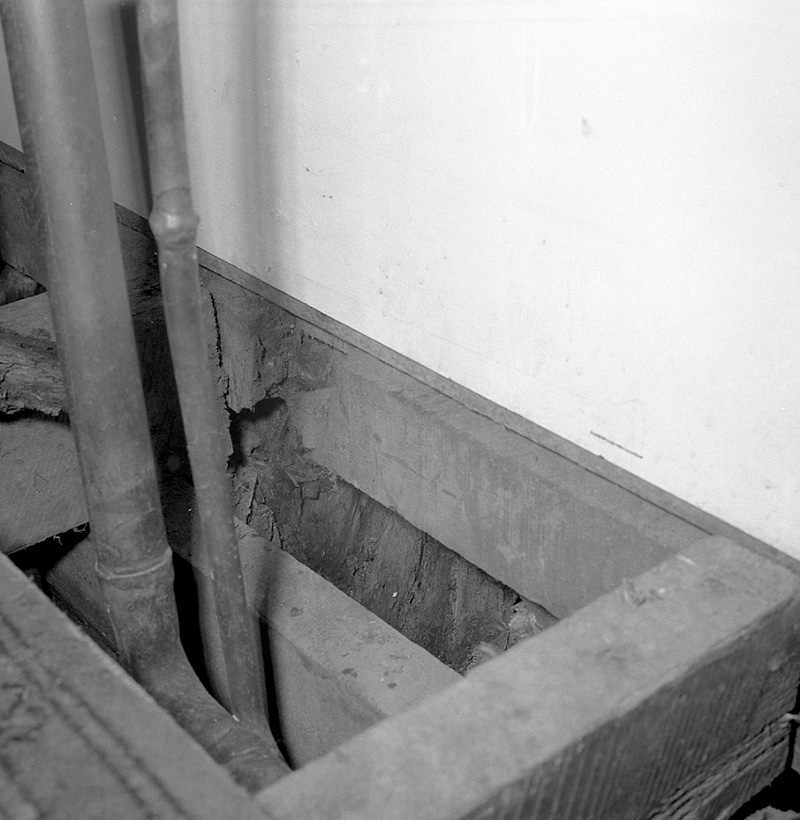 b. No 12 Elizabeth Street