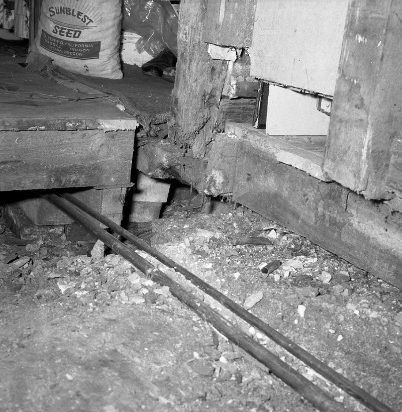 e. No 12 Elizabeth Street