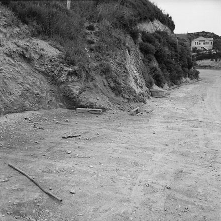 a. Scrub covered bank