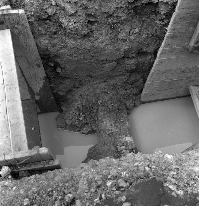 a. MED Trench, Hankey St