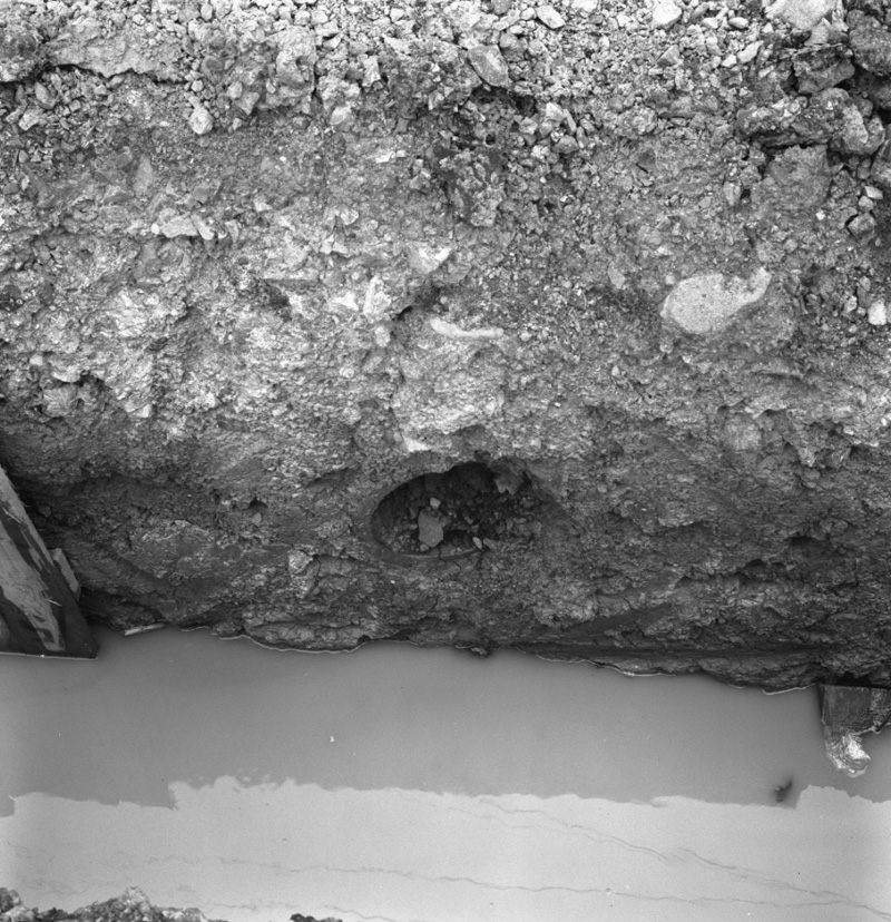 e. MED Trench, Hankey St
