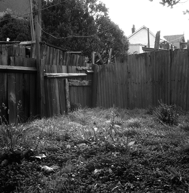 b. Rintoul Street, No 183 backyard, derelict factory, alleyway