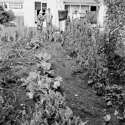 a. views of 91 Waripori Street [Te Wharepōuri Street], a wooden dwelling affected by flooding