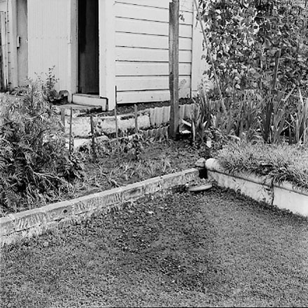 b. views of 91 Waripori Street [Te Wharepōuri Street], a wooden dwelling affected by flooding
