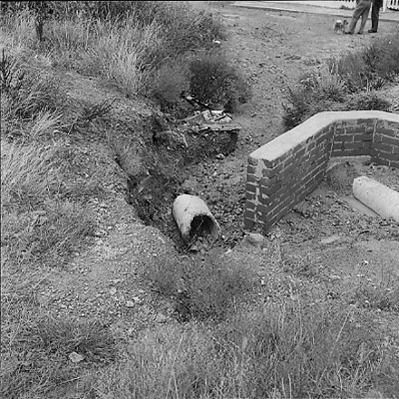 c. views of 91 Waripori Street [Te Wharepōuri Street], a wooden dwelling affected by flooding