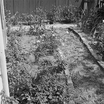 d. views of 91 Waripori Street [Te Wharepōuri Street], a wooden dwelling affected by flooding