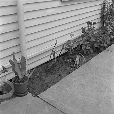 e. views of 91 Waripori Street [Te Wharepōuri Street], a wooden dwelling affected by flooding