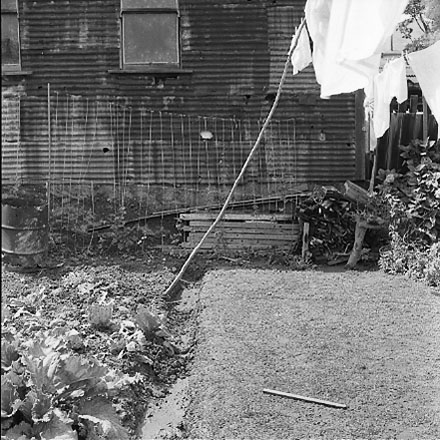 f. views of 91 Waripori Street [Te Wharepōuri Street], a wooden dwelling affected by flooding