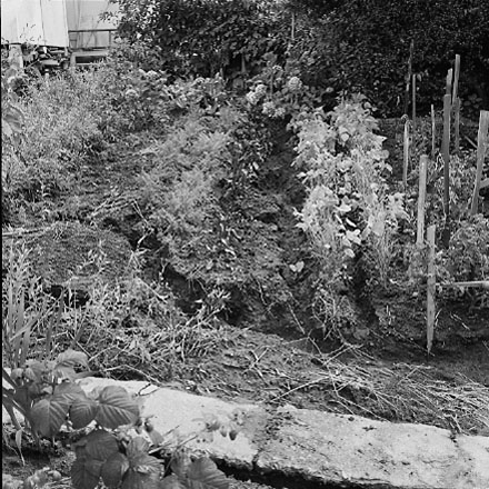 h. views of 91 Waripori Street [Te Wharepōuri Street], a wooden dwelling affected by flooding