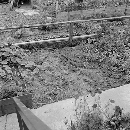i. views of 91 Waripori Street [Te Wharepōuri Street], a wooden dwelling affected by flooding