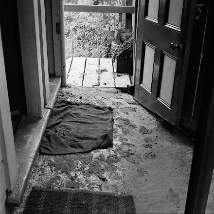 p. views of McAllister Park, Berhampore School in the background