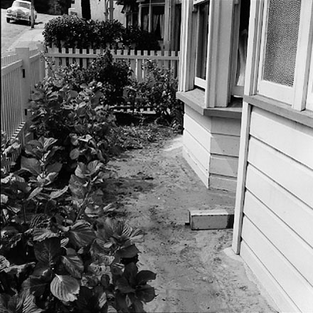 q. views of McAllister Park, Berhampore School in the background