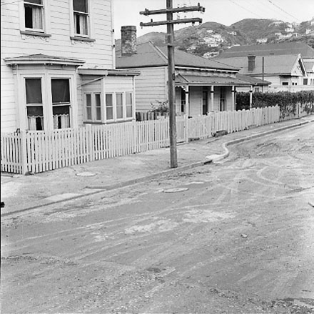 r. views of McAllister Park, Berhampore School in the background