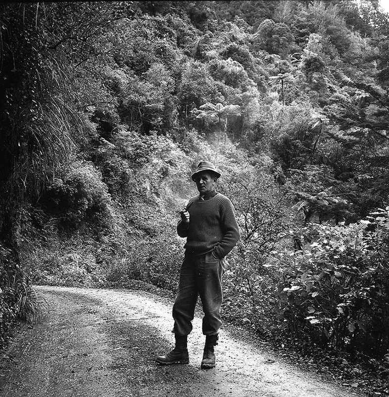 a. Akatarawa Forest