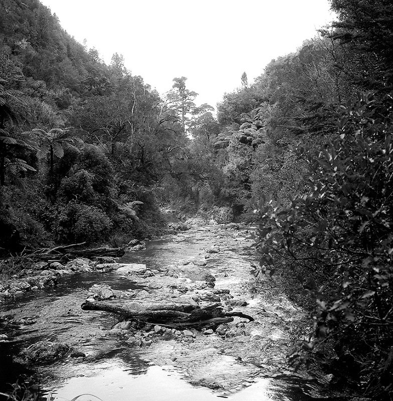 b. Akatarawa Forest