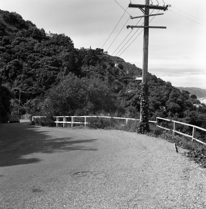 a. 42-46 Garden Road, access