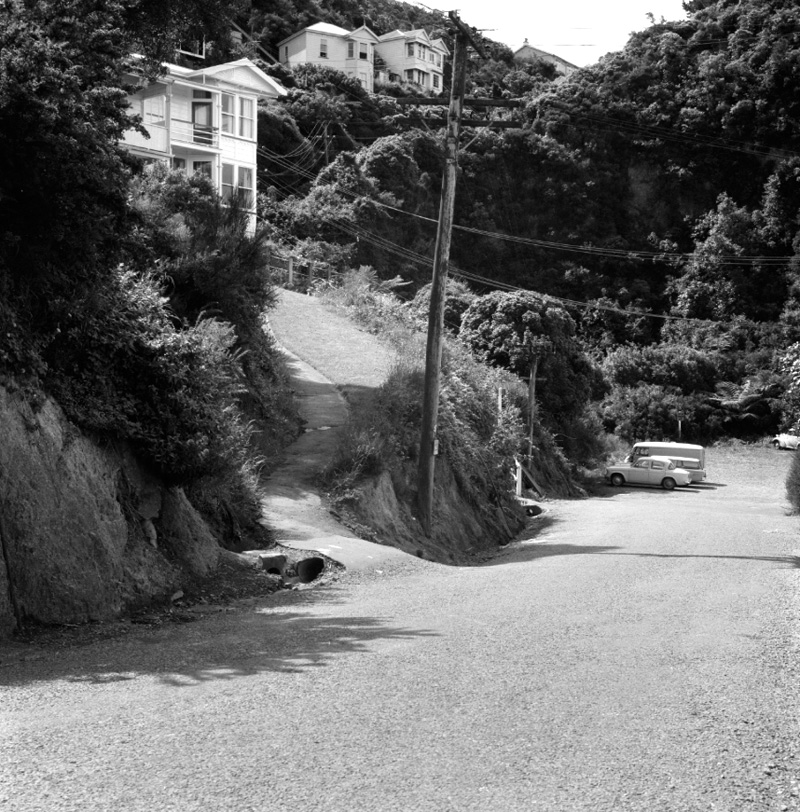 c. 42-46 Garden Road, access